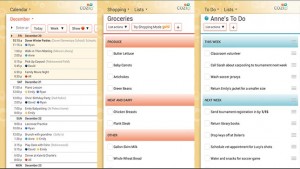 Cozi is a free app and website that lets you keep track of everyone's schedules, activities, and appointments.  You can also create and share grocery lists and "to do" lists.